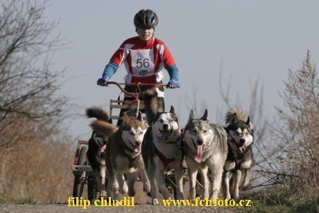 Hustopece 08 - 240.JPG